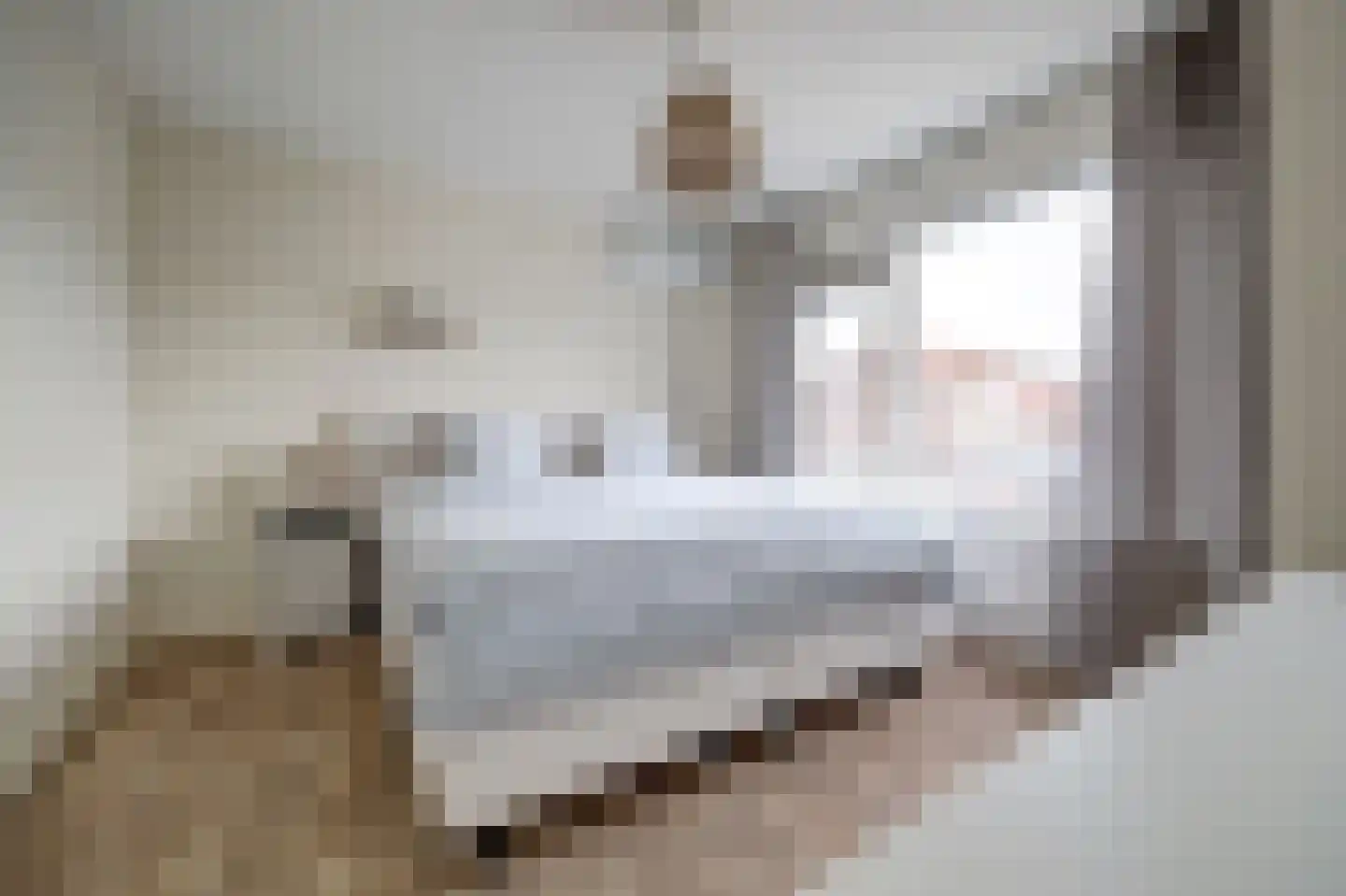 Schoutstraat 8 Rijen thumbnail 4
