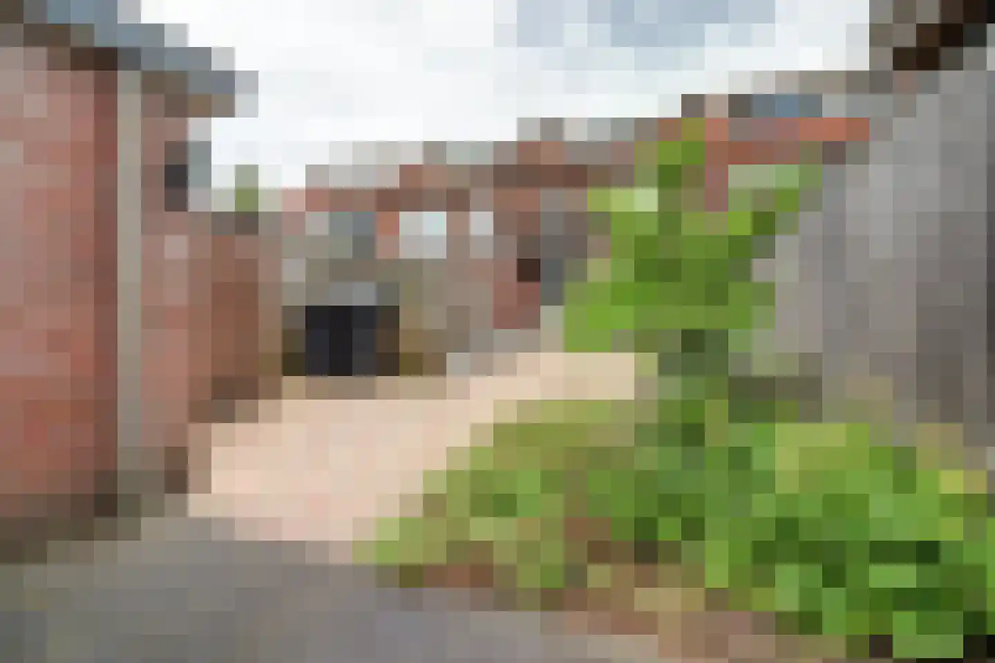 Schoutstraat 8 Rijen thumbnail 40