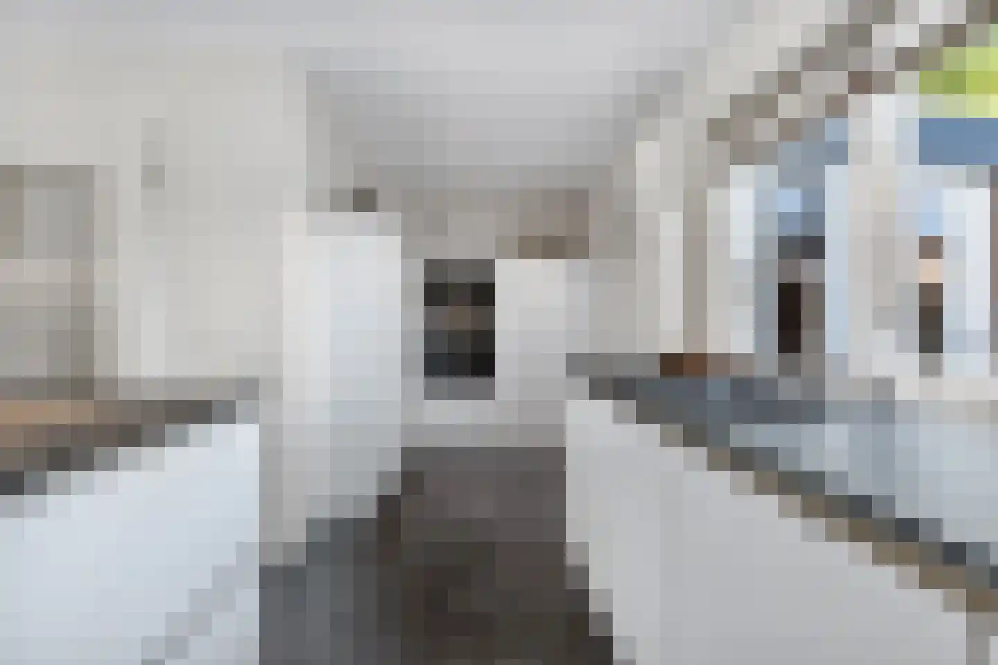 Schoutstraat 88 Gendt thumbnail 14