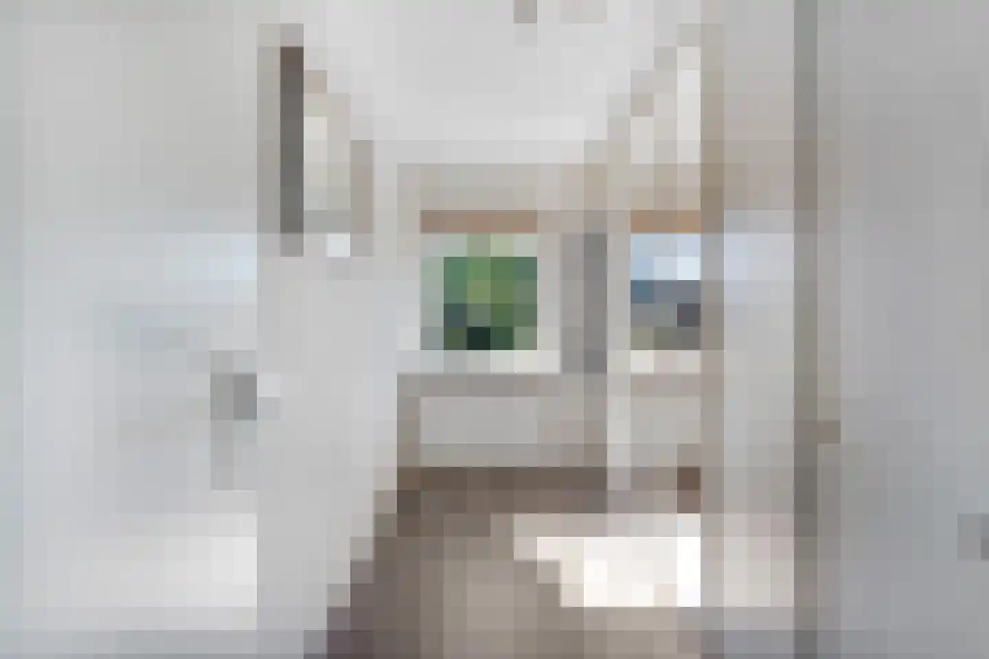 Schoutstraat 88 Gendt thumbnail 21