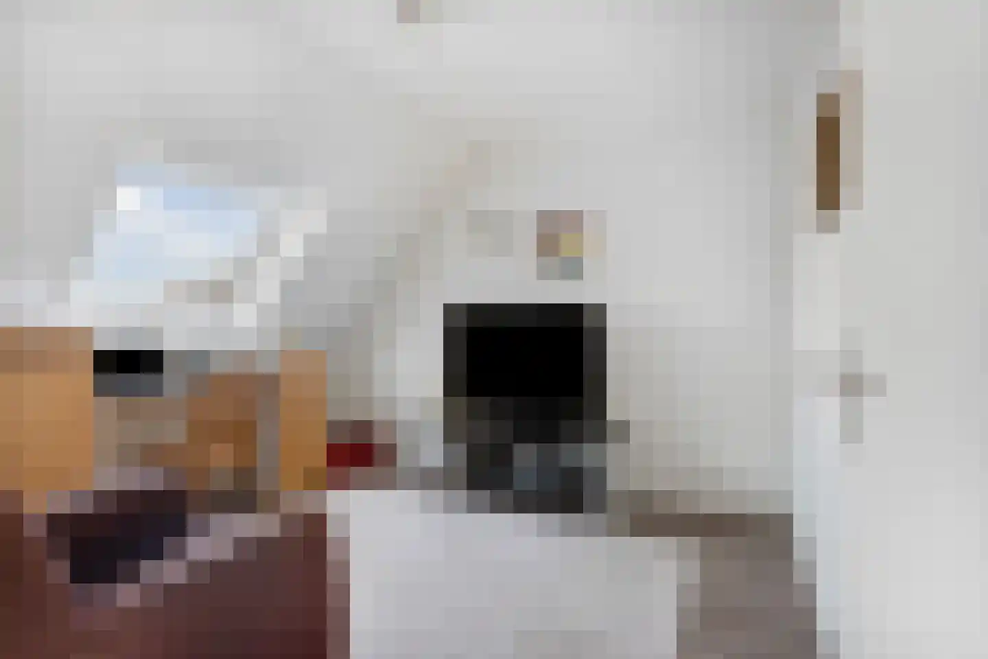 Schoutstraat 88 Gendt thumbnail 23