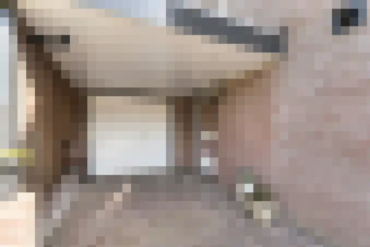 Schoutstraat 88 Gendt thumbnail 49