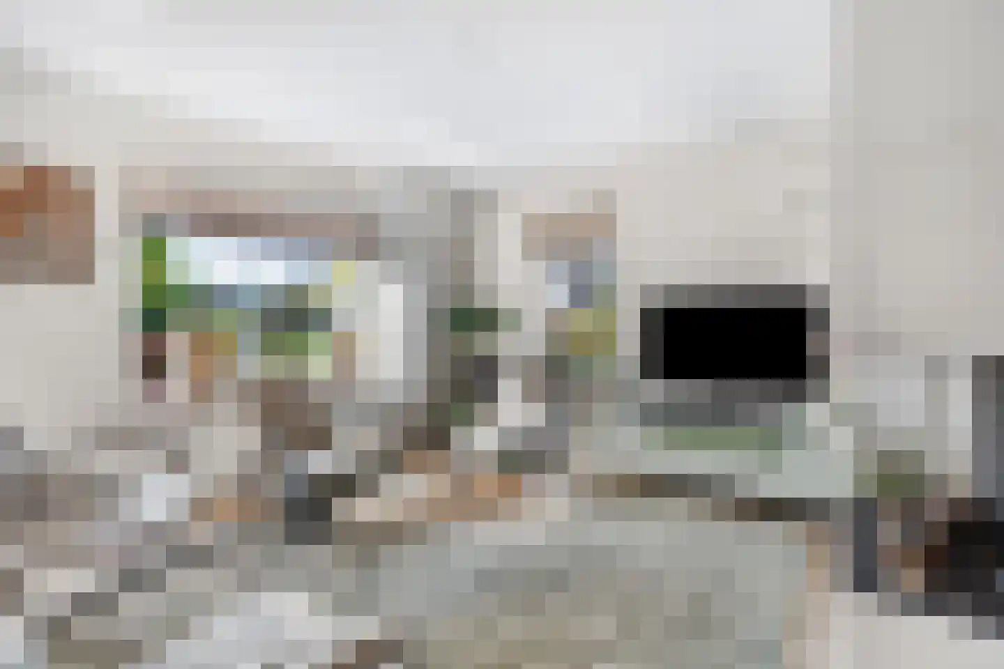 Schoutstraat 88 Gendt thumbnail 5