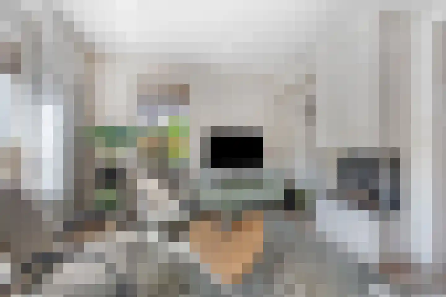 Schoutstraat 88 Gendt thumbnail 6