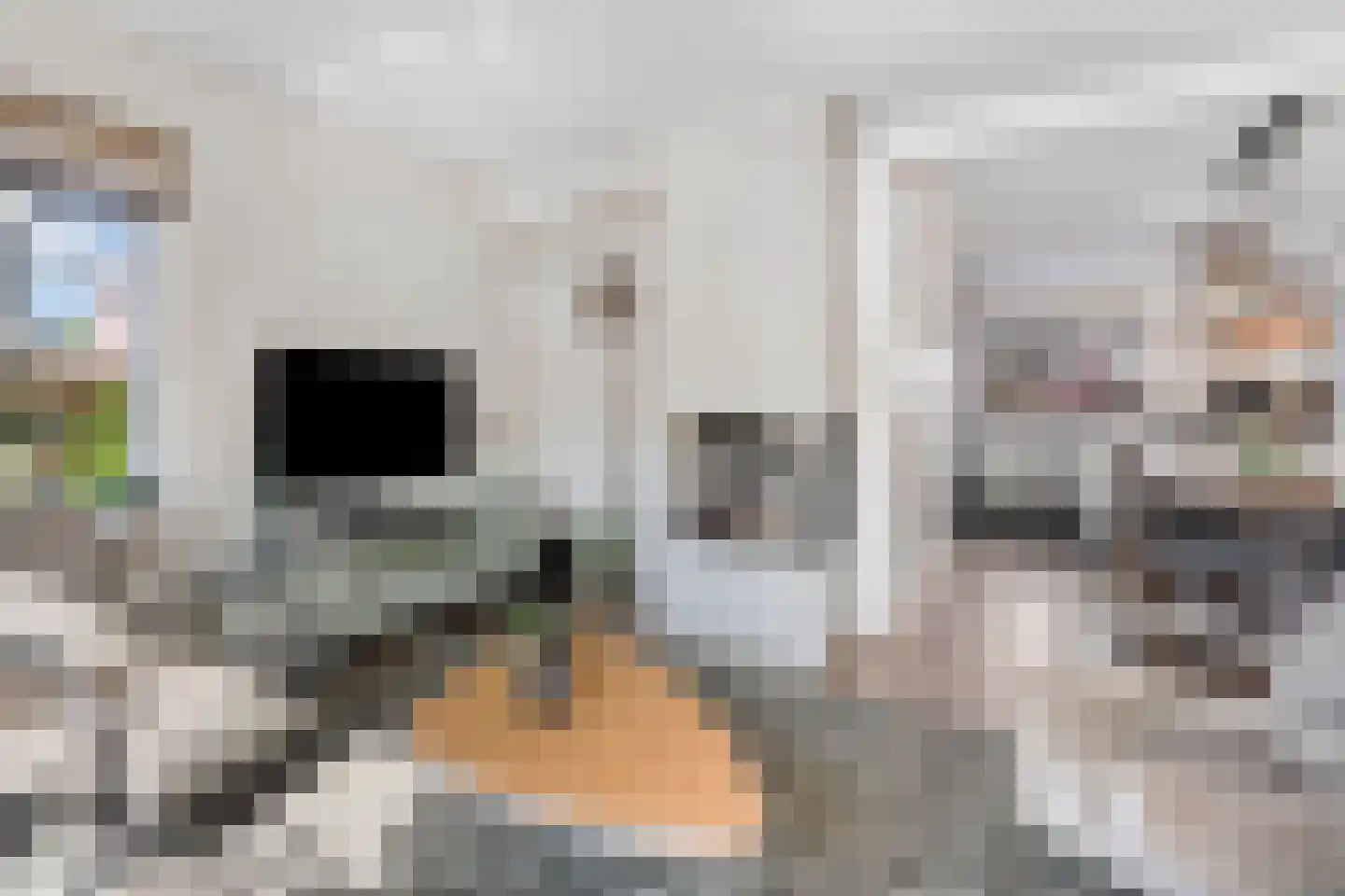 Schoutstraat 88 Gendt thumbnail 7