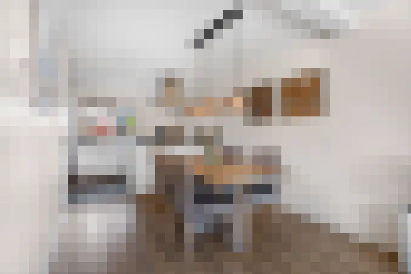 Schoutstraat 88 Gendt thumbnail 9