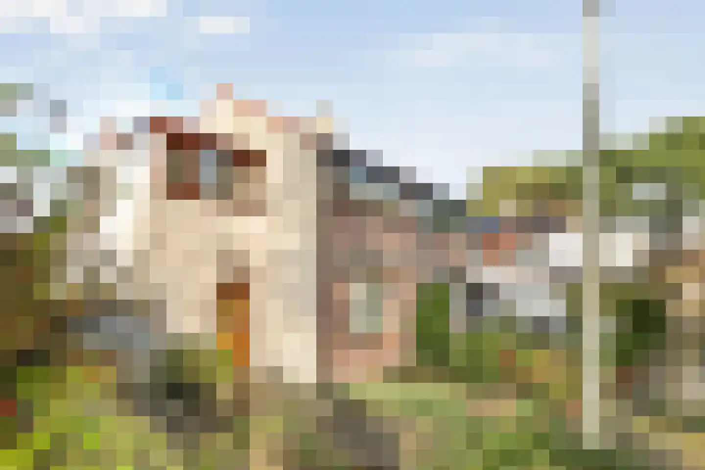 Schoutstraat 9 Wassenaar thumbnail 6