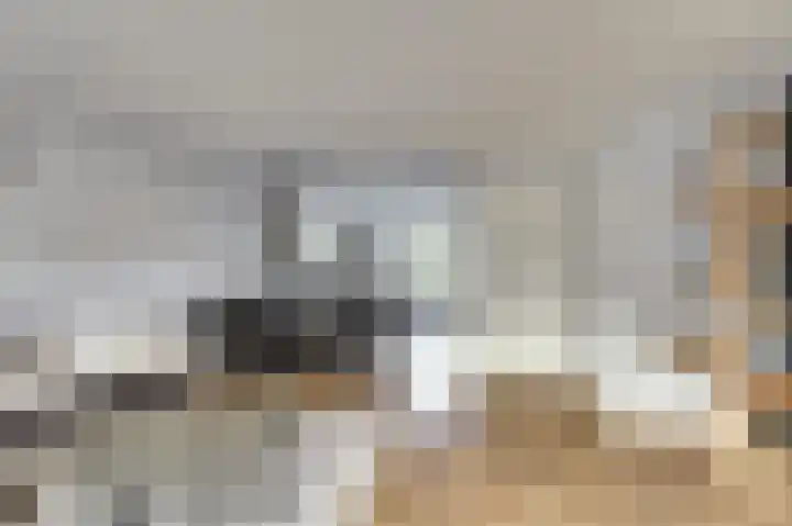 Schoutstuinen 11 Venhuizen thumbnail 10