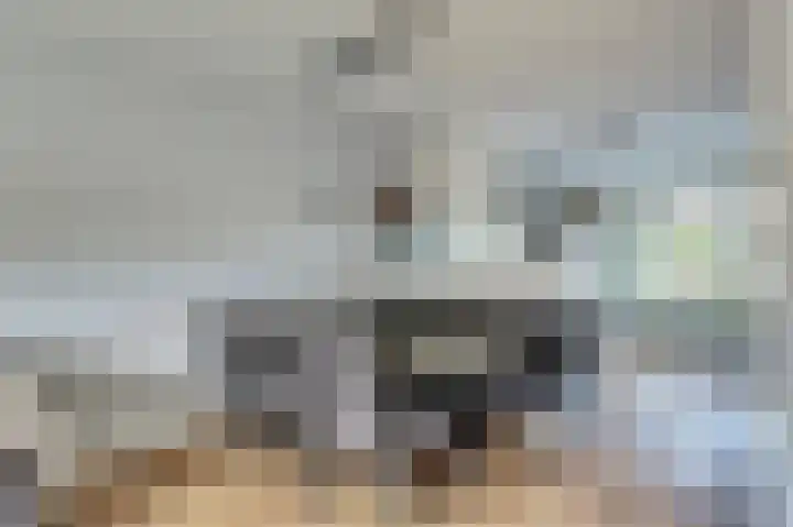 Schoutstuinen 11 Venhuizen thumbnail 12