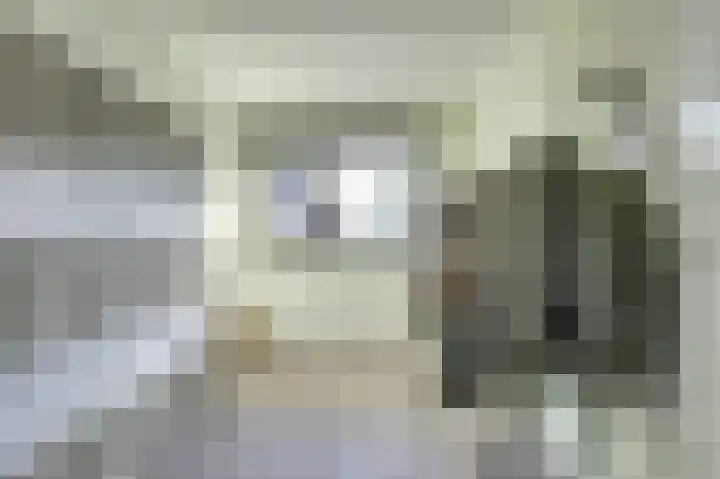 Schoutstuinen 11 Venhuizen thumbnail 18