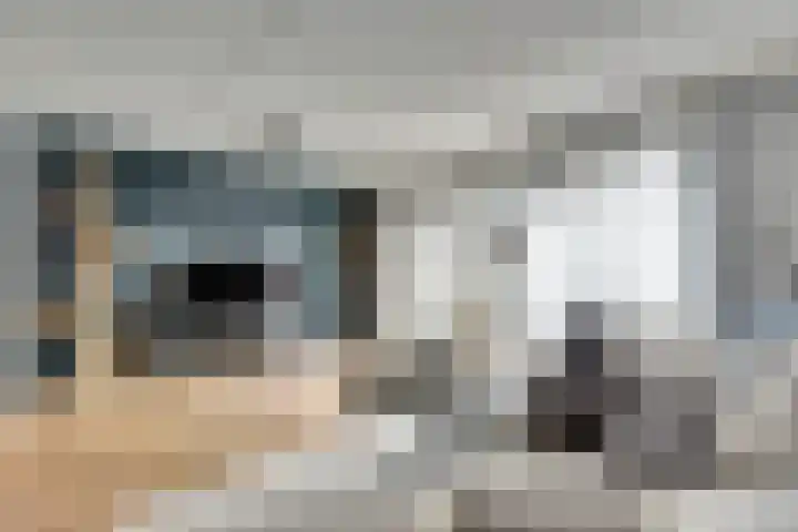 Schoutstuinen 11 Venhuizen thumbnail 8
