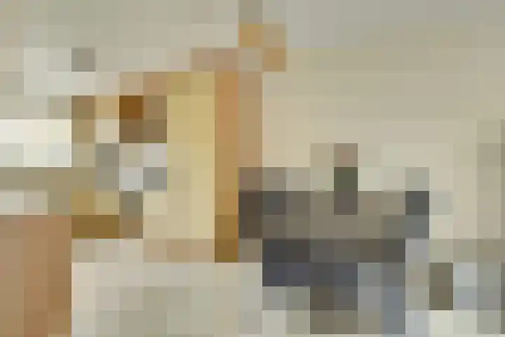 Schoutstuinen 33 Venhuizen thumbnail 10