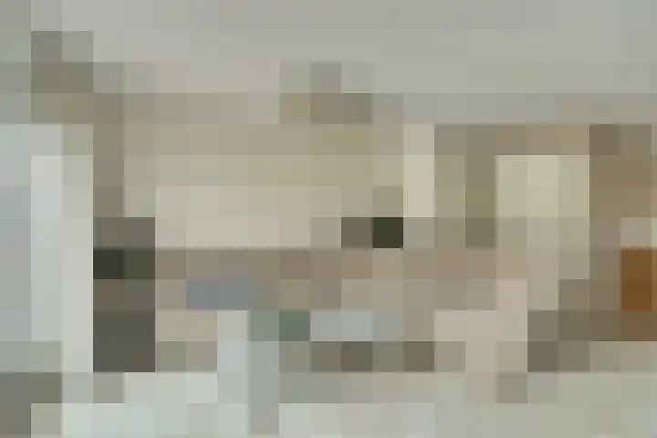 Schoutstuinen 33 Venhuizen thumbnail 12