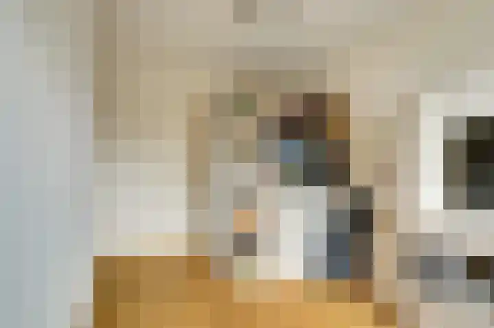 Schoutstuinen 33 Venhuizen thumbnail 20