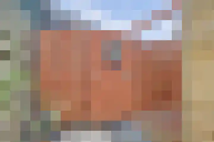Schoutstuinen 33 Venhuizen thumbnail 30