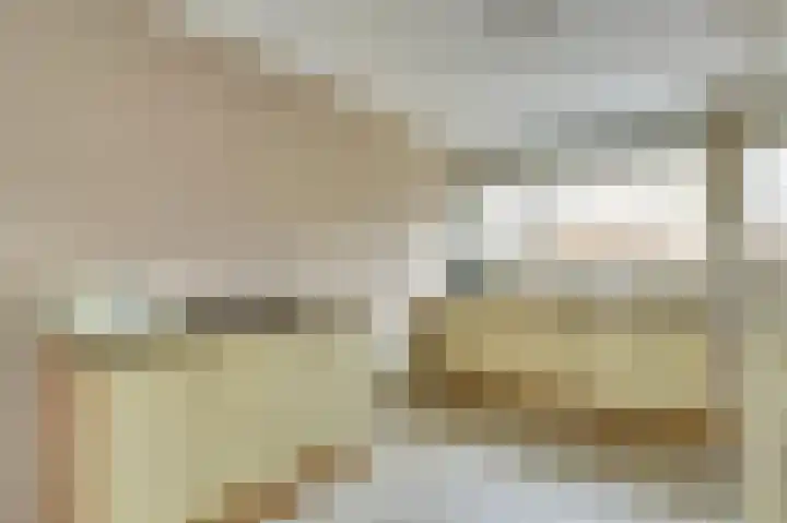 Schoutstuinen 33 Venhuizen thumbnail 8