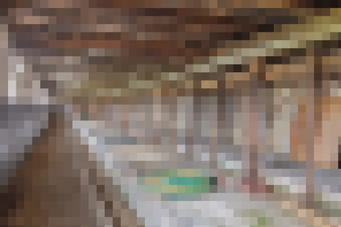 Schoutsweg 2 Zuidland thumbnail 16