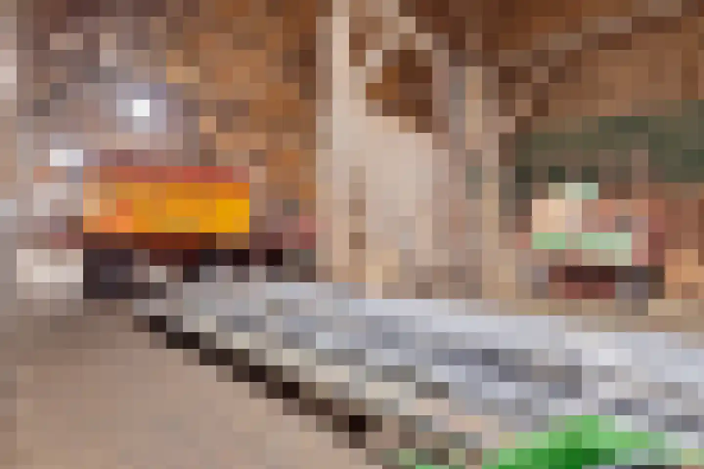 Schoutsweg 2 Zuidland thumbnail 17