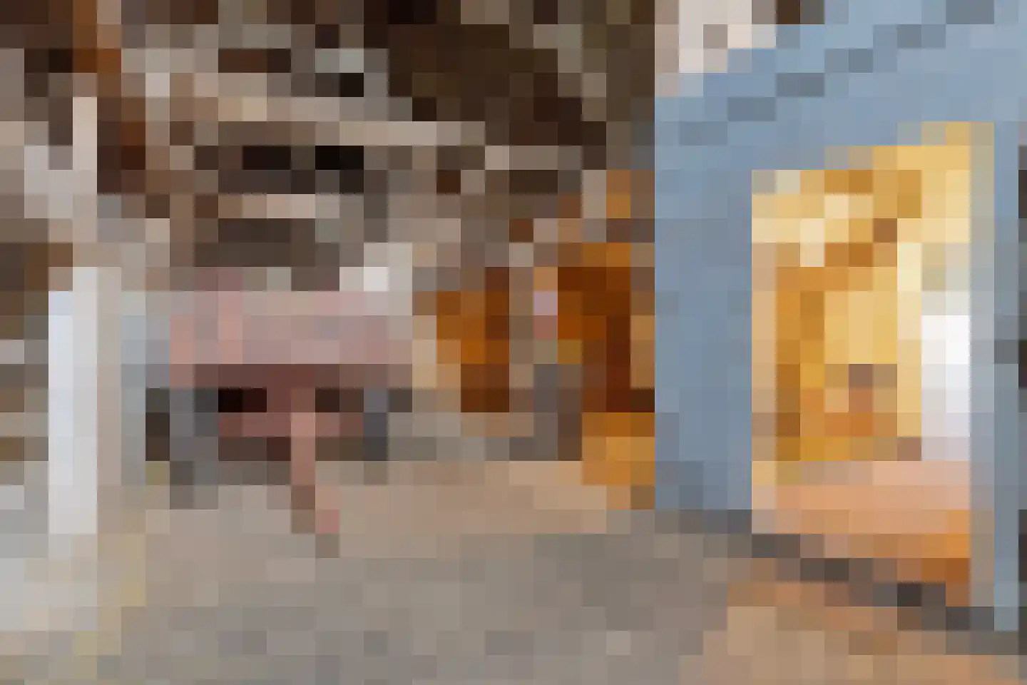Schoutsweg 2 Zuidland thumbnail 18