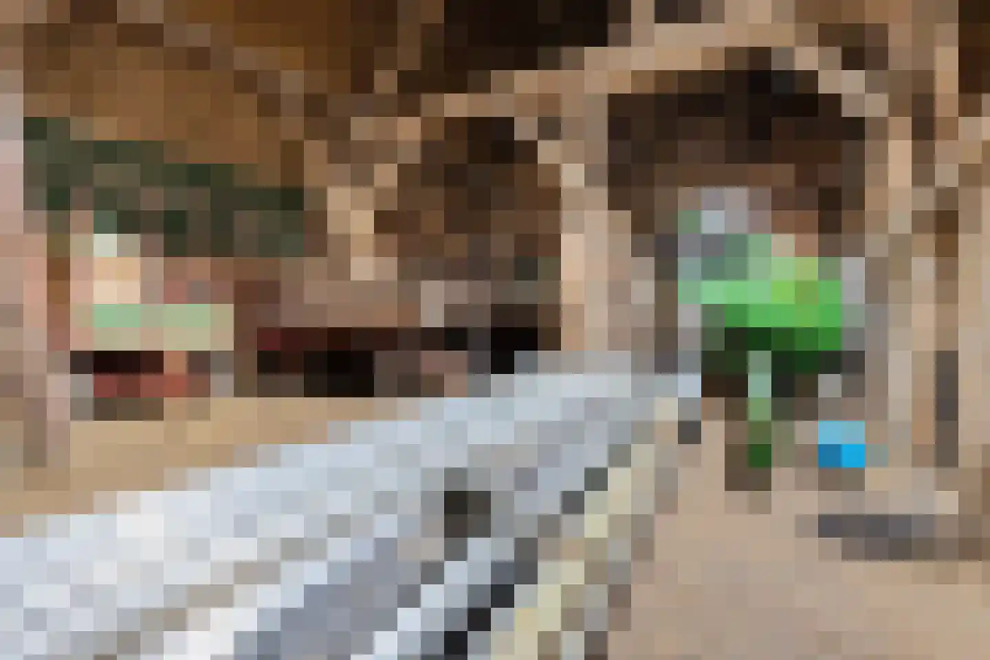Schoutsweg 2 Zuidland thumbnail 19