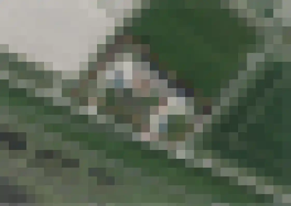 Schoutsweg 2 Zuidland thumbnail 20