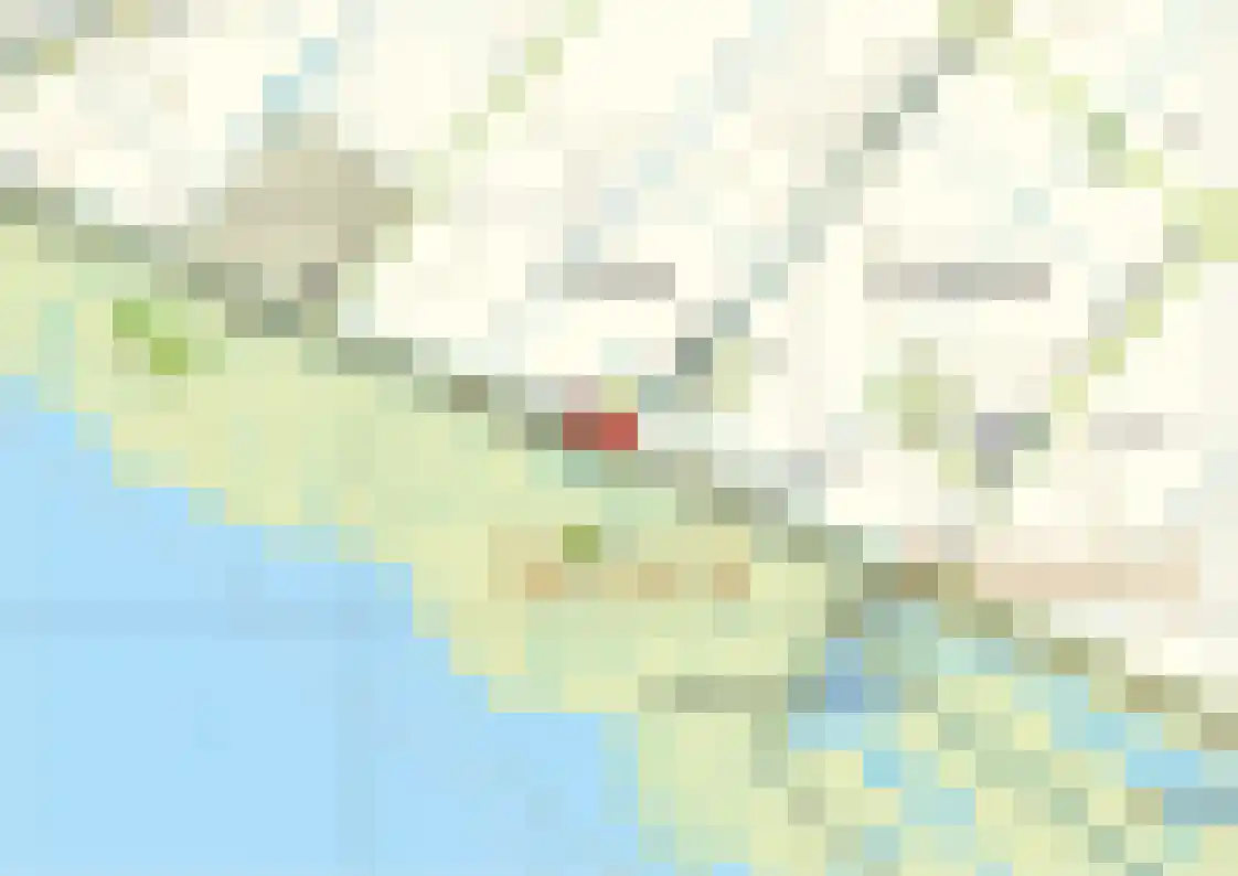 Schoutsweg 2 Zuidland thumbnail 21