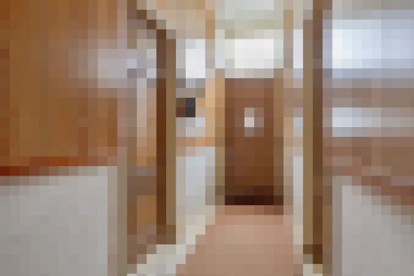 Schoutsweg 2 Zuidland thumbnail 4