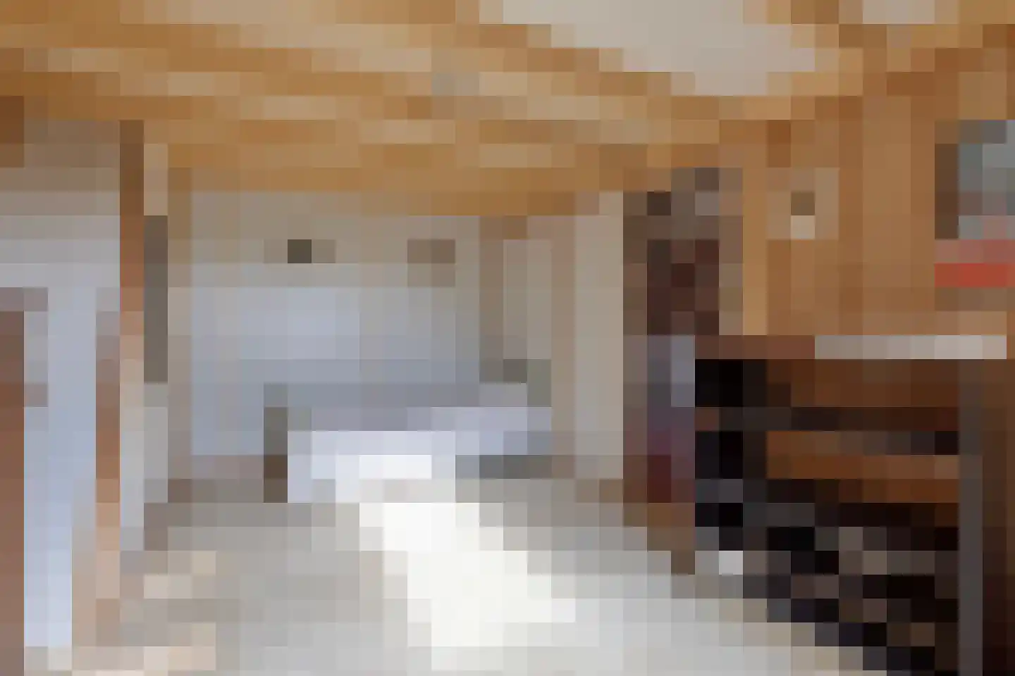 Schoutsweg 2 Zuidland thumbnail 8