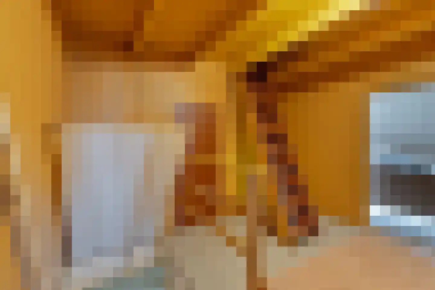 Schoutsweg 2 Zuidland thumbnail 9
