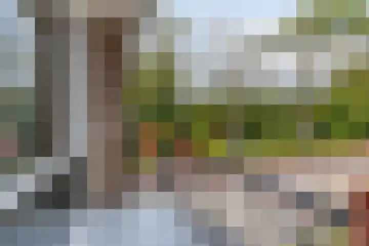 Schoutweg 1 Zwijndrecht thumbnail 22