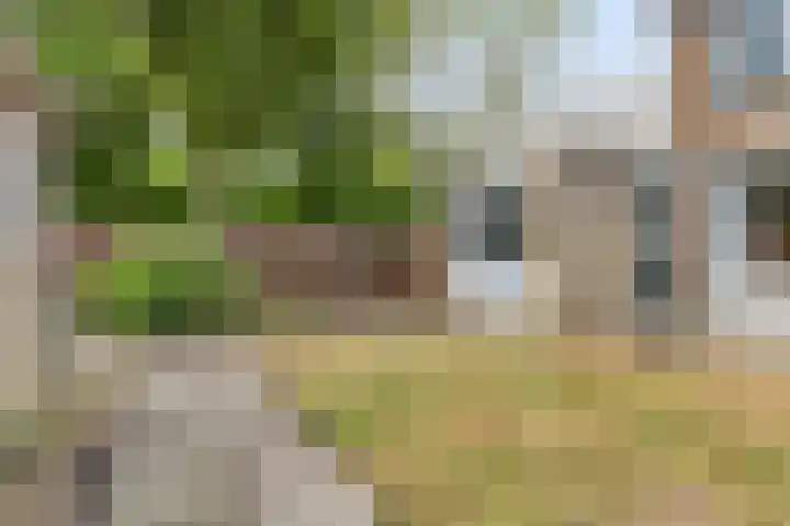 Schoutweg 1 Zwijndrecht thumbnail 39