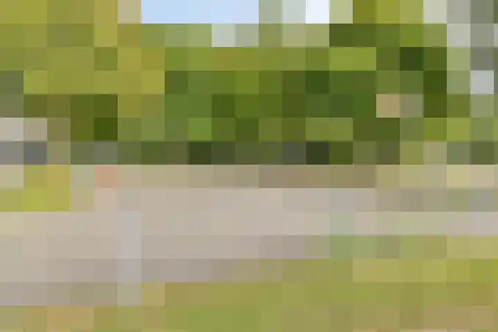 Schoutweg 1 Zwijndrecht thumbnail 51