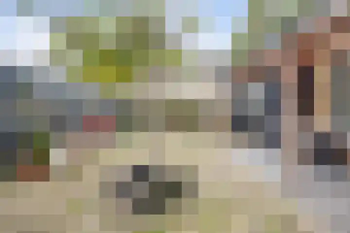 Schoutweg 2 Oostvoorne thumbnail 38