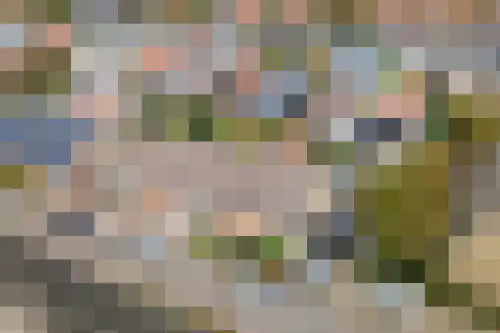 Schoutweg 2 Oostvoorne thumbnail 39