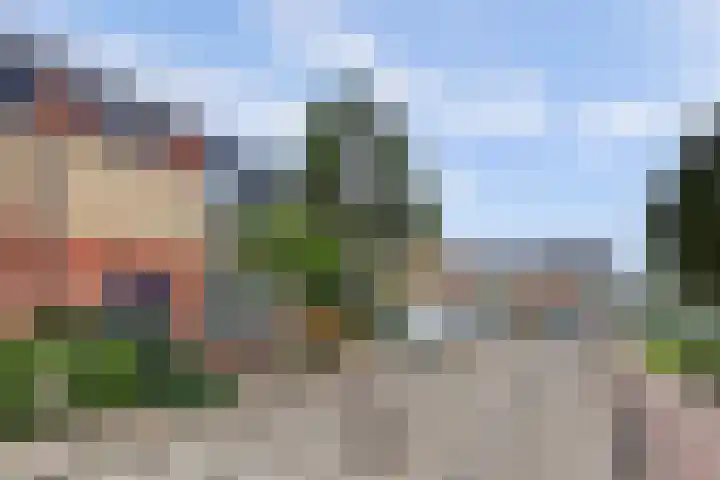 Schoutweg 2 Oostvoorne thumbnail 4