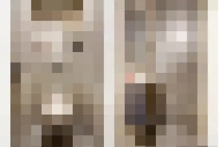 Schoutweg 2 Oostvoorne thumbnail 5