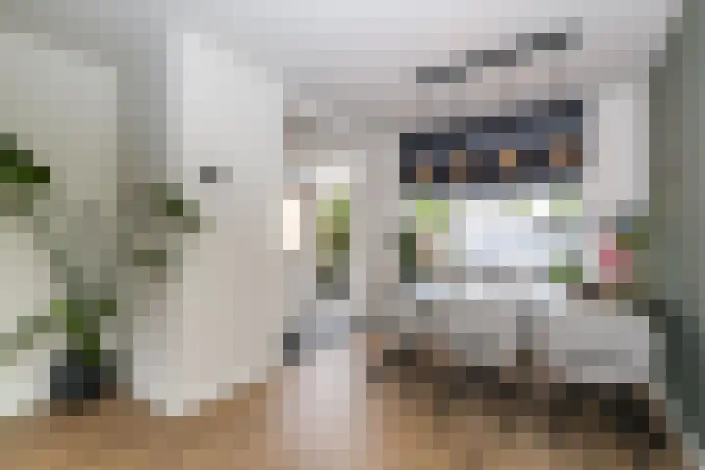 Schoutweg 22 Oostvoorne thumbnail 23