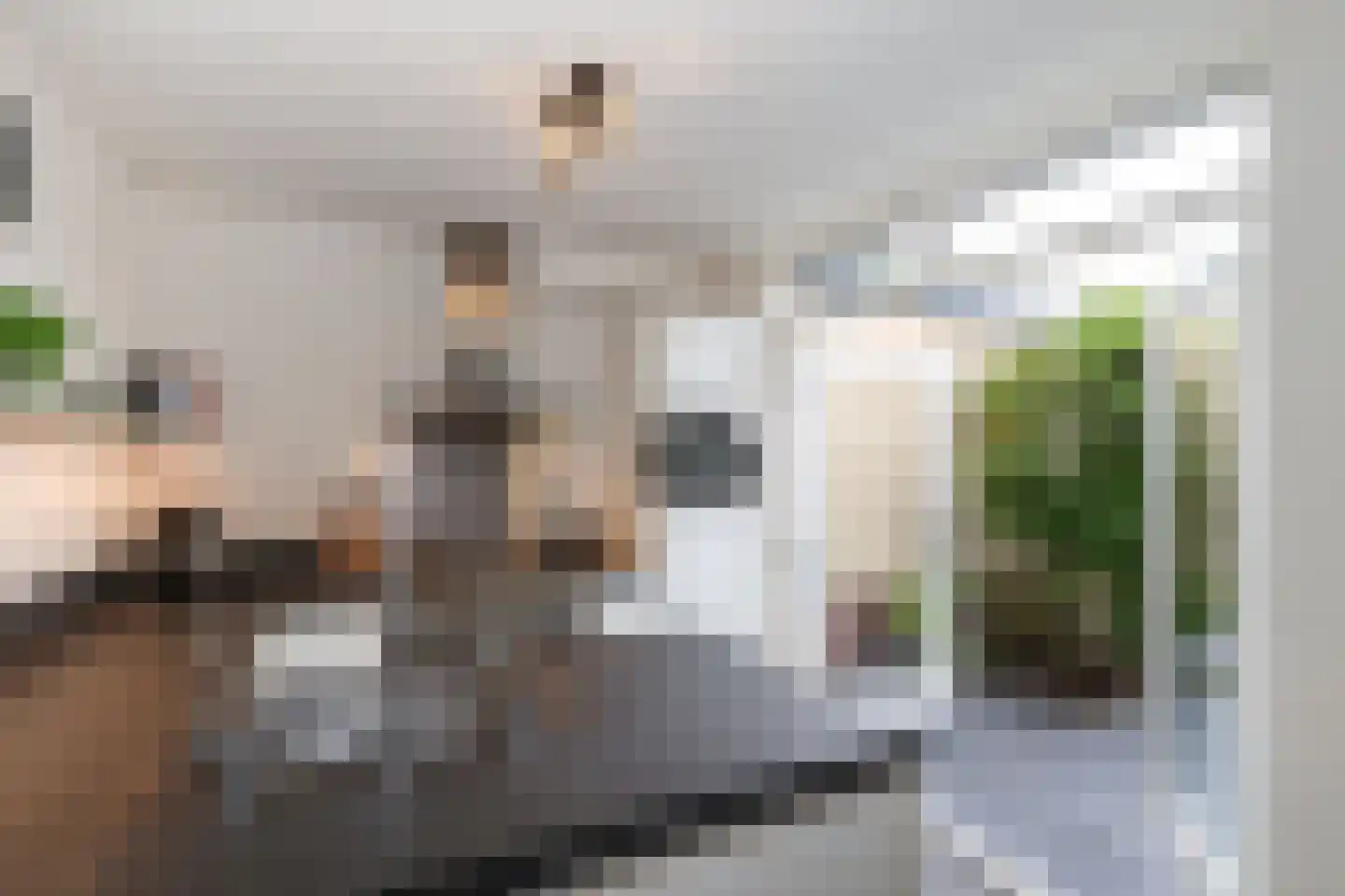 Schoutweg 22 Oostvoorne thumbnail 25