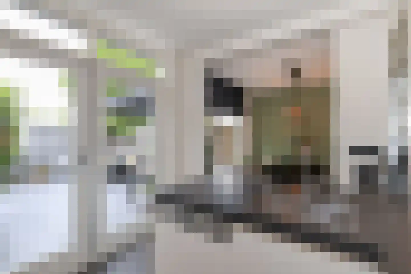 Schoutweg 22 Oostvoorne thumbnail 30