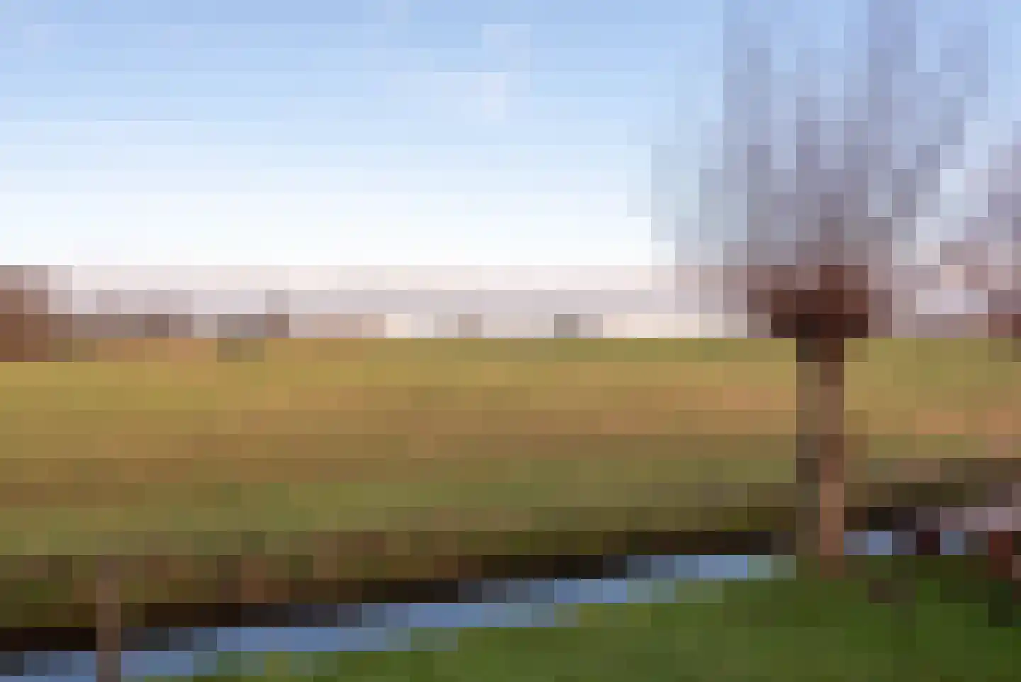 Schouw 1 c Akersloot thumbnail 31
