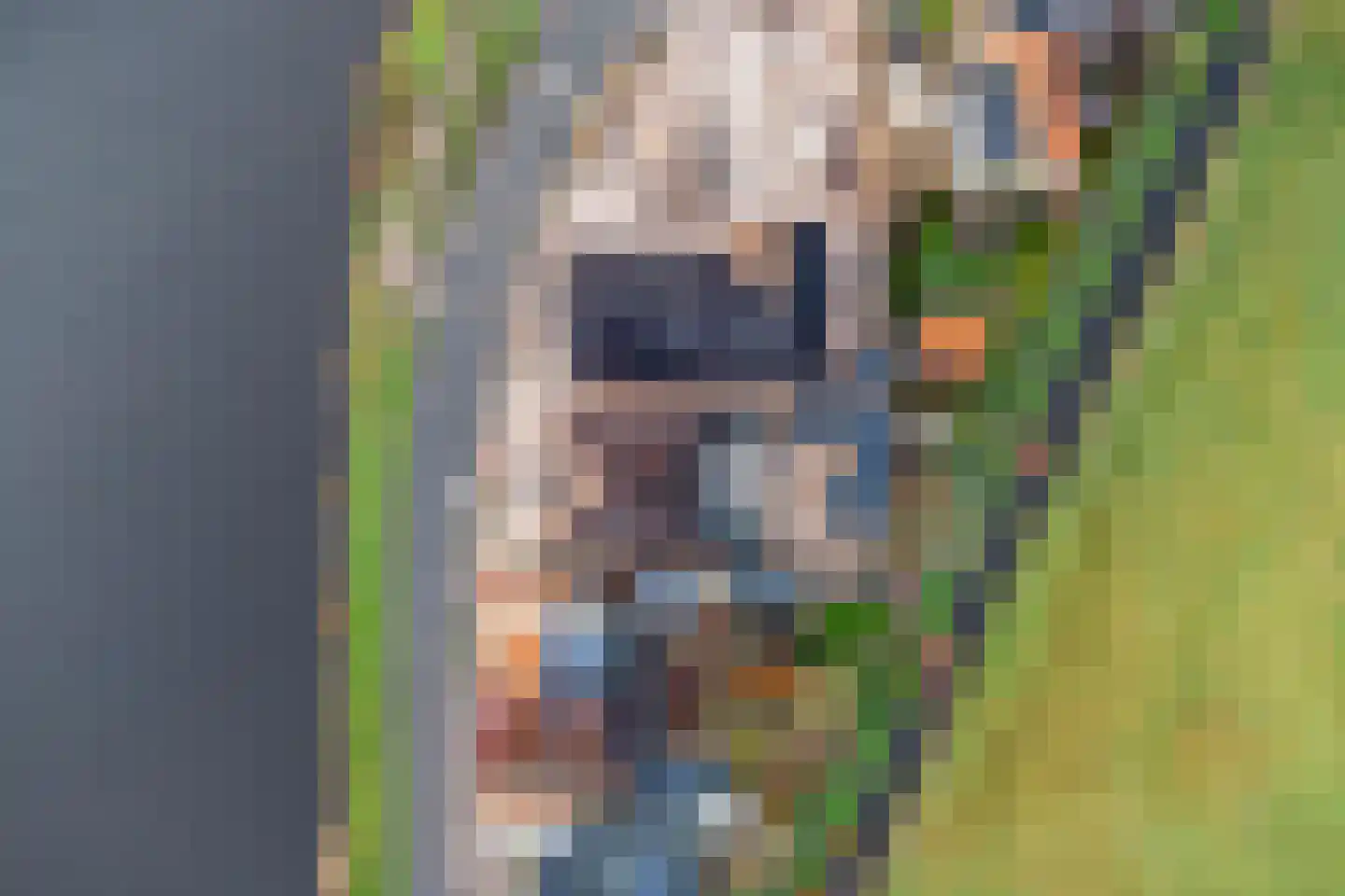 Schouw 1 c Akersloot thumbnail 9