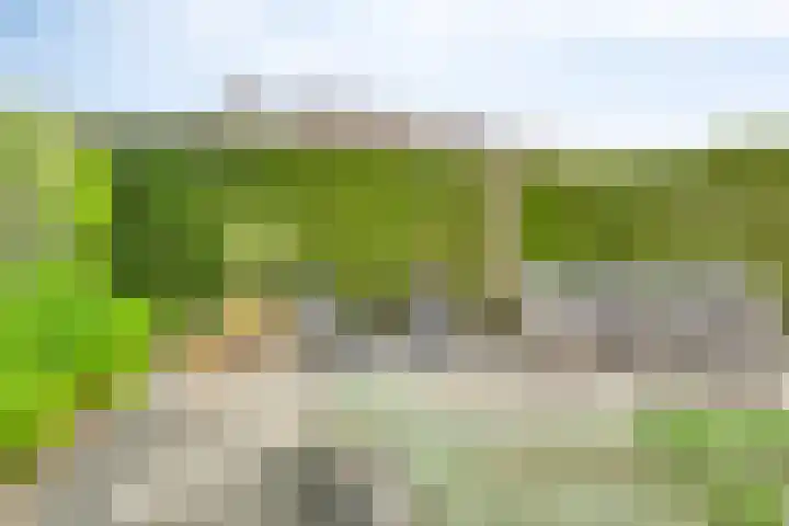 Schouw 10 Barendrecht thumbnail 24