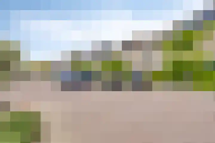 Schouw 10 Barendrecht thumbnail 4
