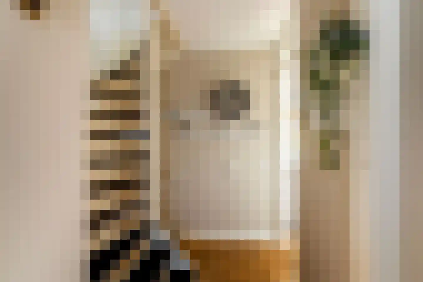 Schouw 11 Schiedam thumbnail 10