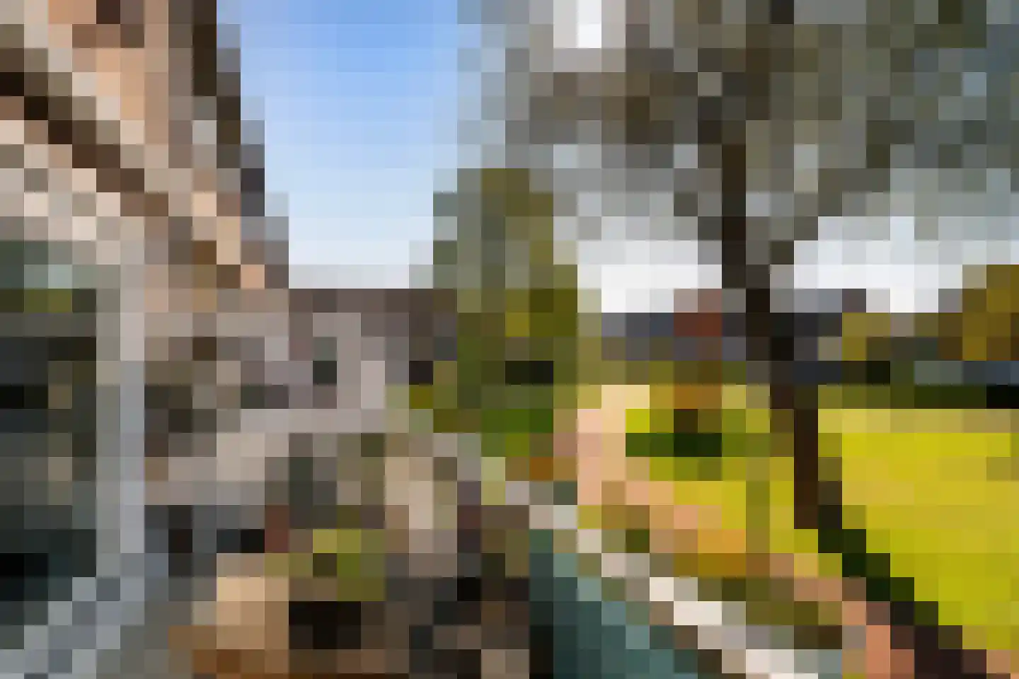 Schouw 11 Schiedam thumbnail 15
