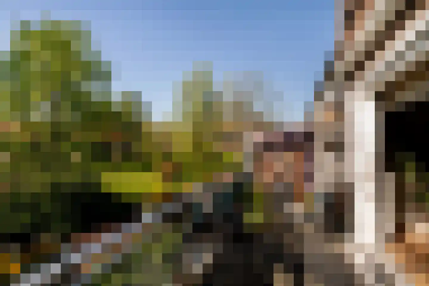 Schouw 11 Schiedam thumbnail 17
