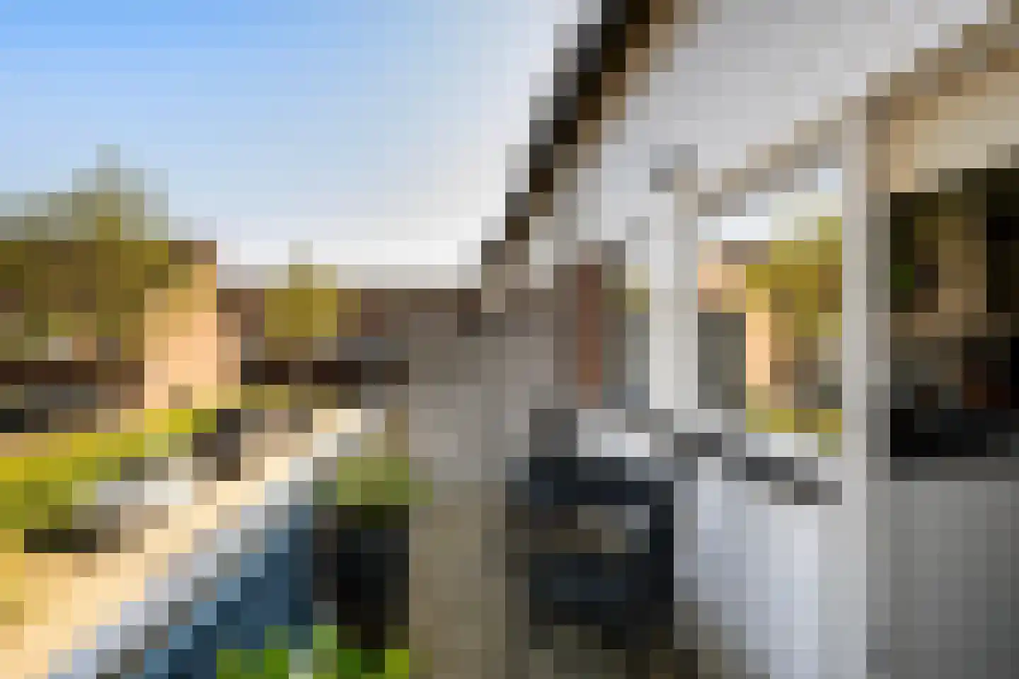 Schouw 11 Schiedam thumbnail 21