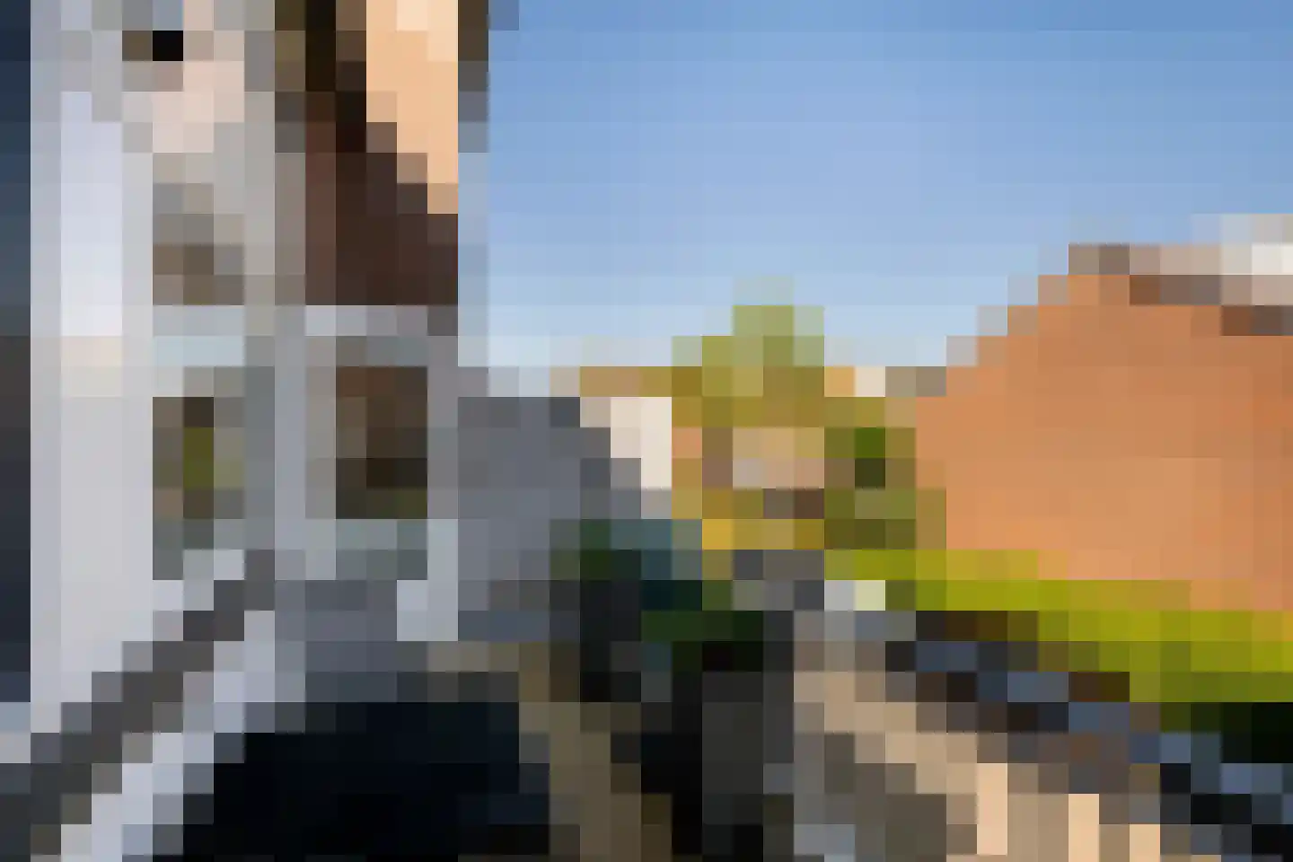 Schouw 11 Schiedam thumbnail 22