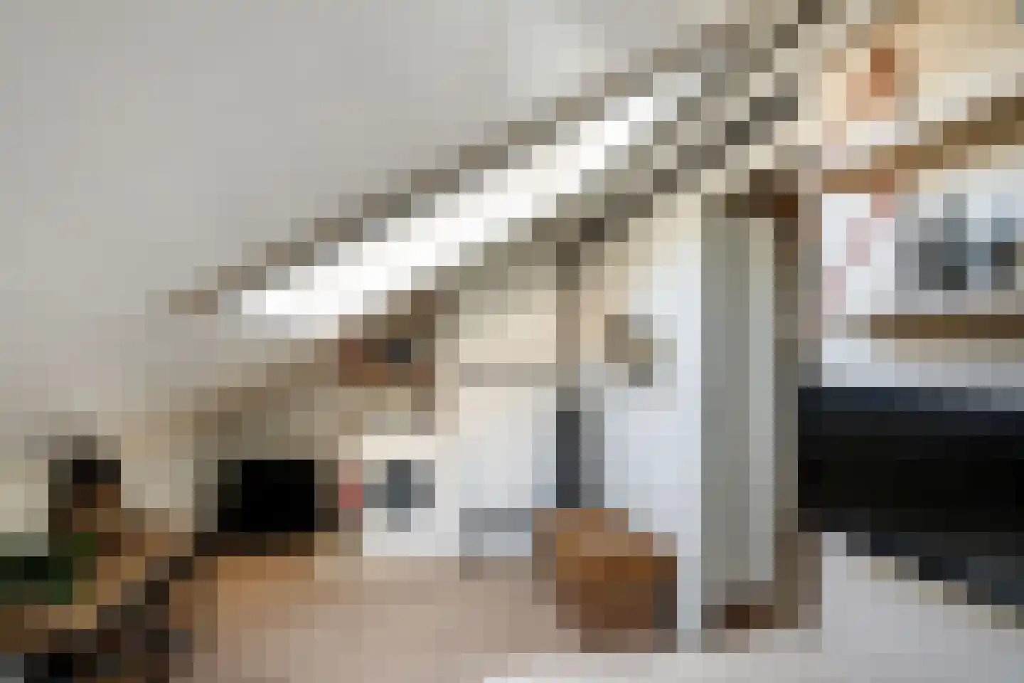 Schouw 11 Schiedam thumbnail 27