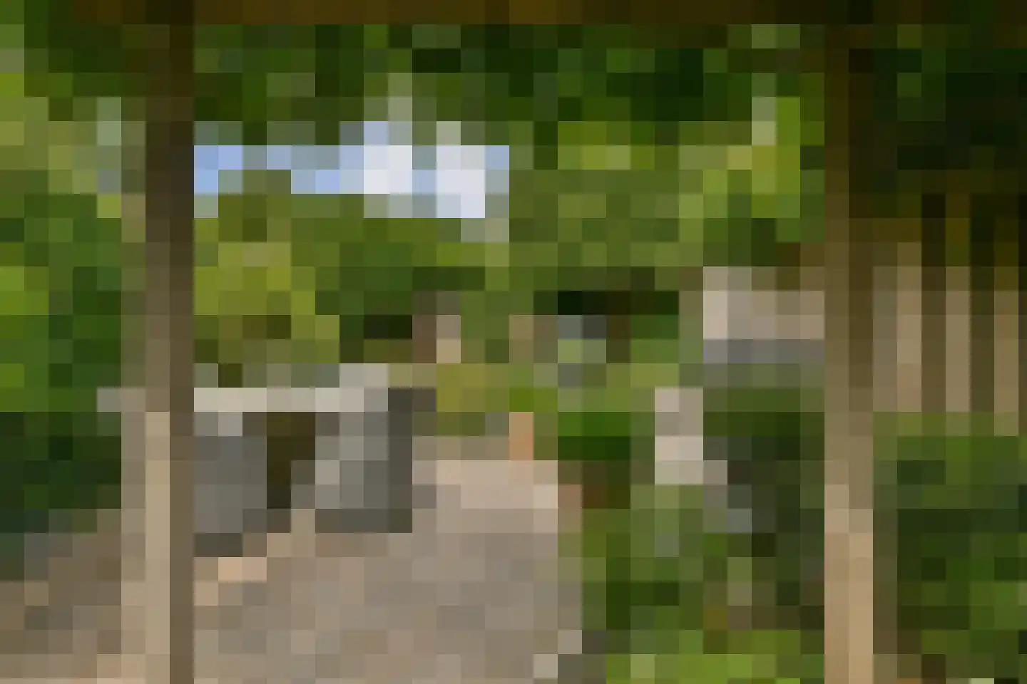 Schouw 14 Loosdrecht thumbnail 14